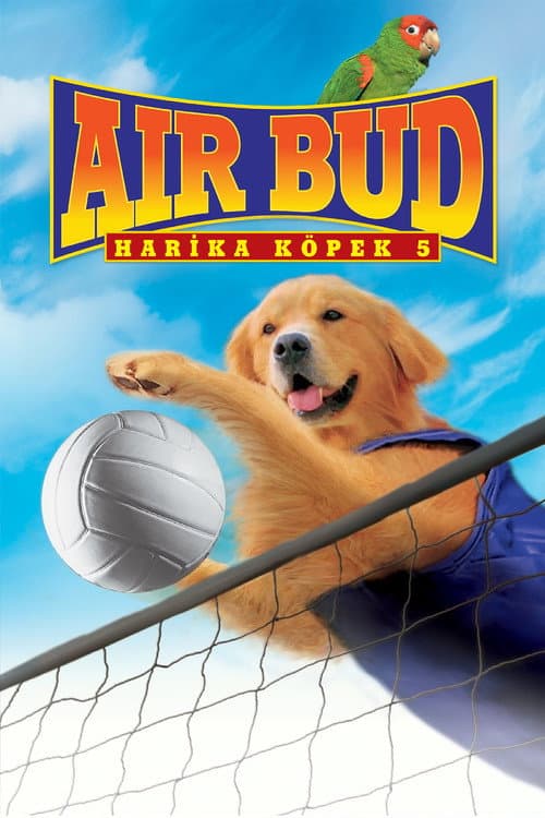 Harika Köpek 5
