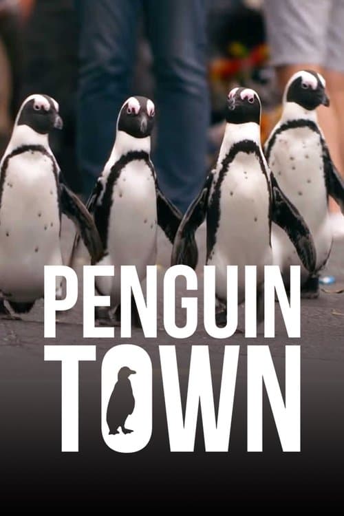 Penguen Kolonisi