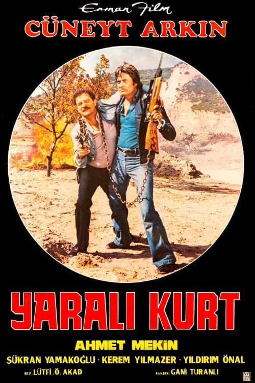 Yaralı Kurt