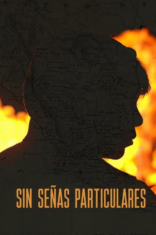 Sin Senas Particulares