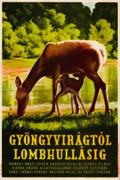 Gyöngyvirágtól lombhullásig
