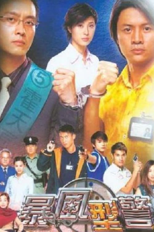 暴風型警