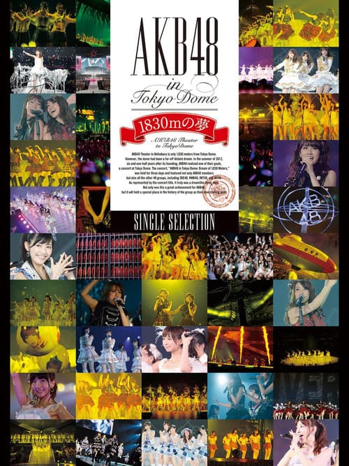AKB48 in TOKYO DOME ~1830mの夢~