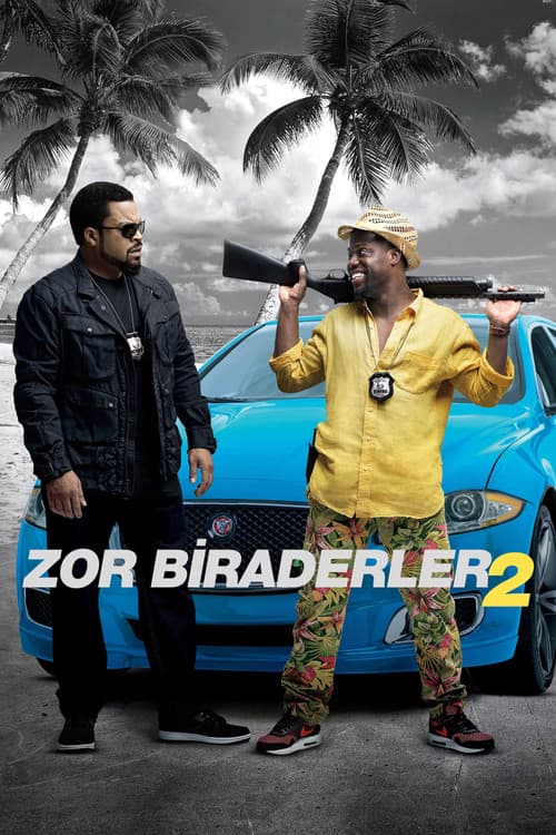 Zor Biraderler 2