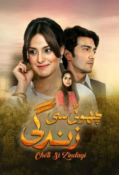 چھوٹی سی زندگی