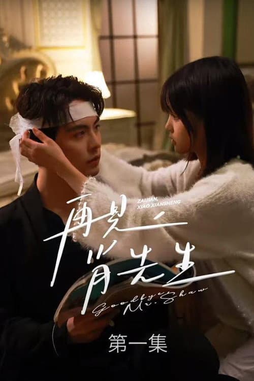 再见了,肖先生